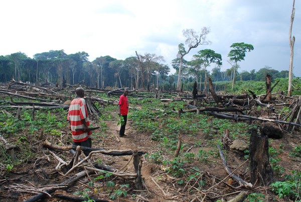 Forest Conservation and Anti-Deforestation Program – Lango Sub-region