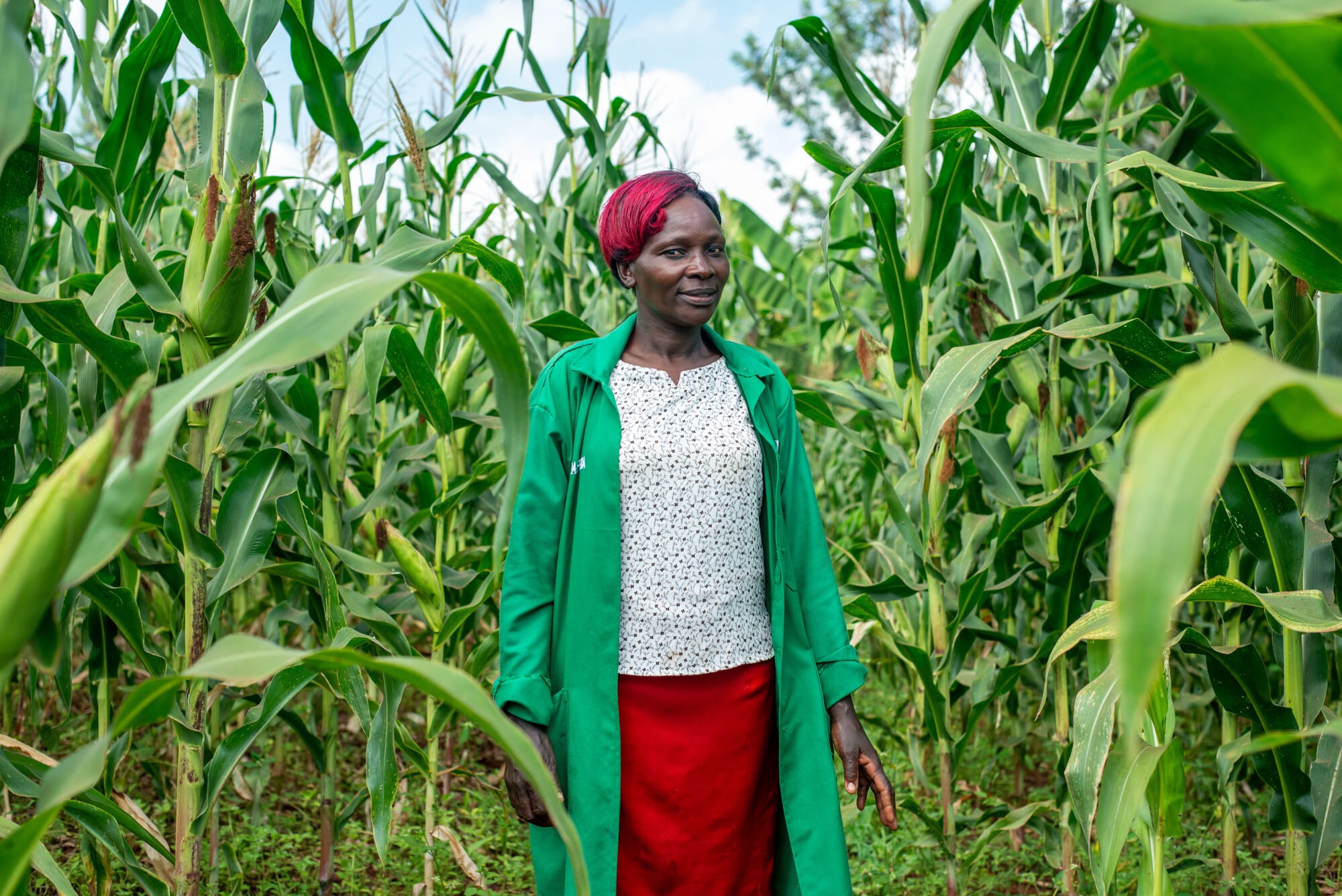 Sustainable Agriculture and Youth Livelihoods Program – Lango Sub-region